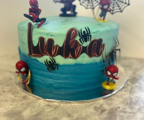 bday_spiderman_cake
